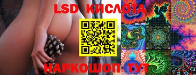 спайс Волгодонск