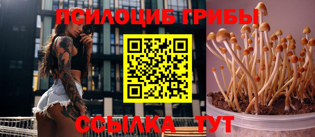 Галлюциногенные грибы Psilocybe Иркутск