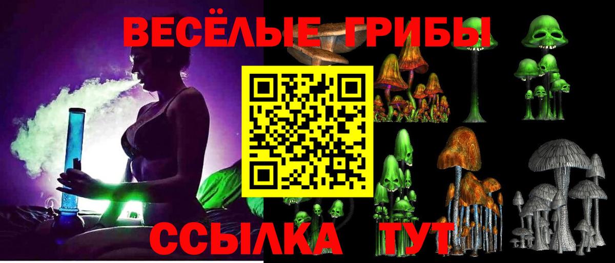 Галлюциногенные грибы Psilocybe  Вход с VPN  Иркутск 